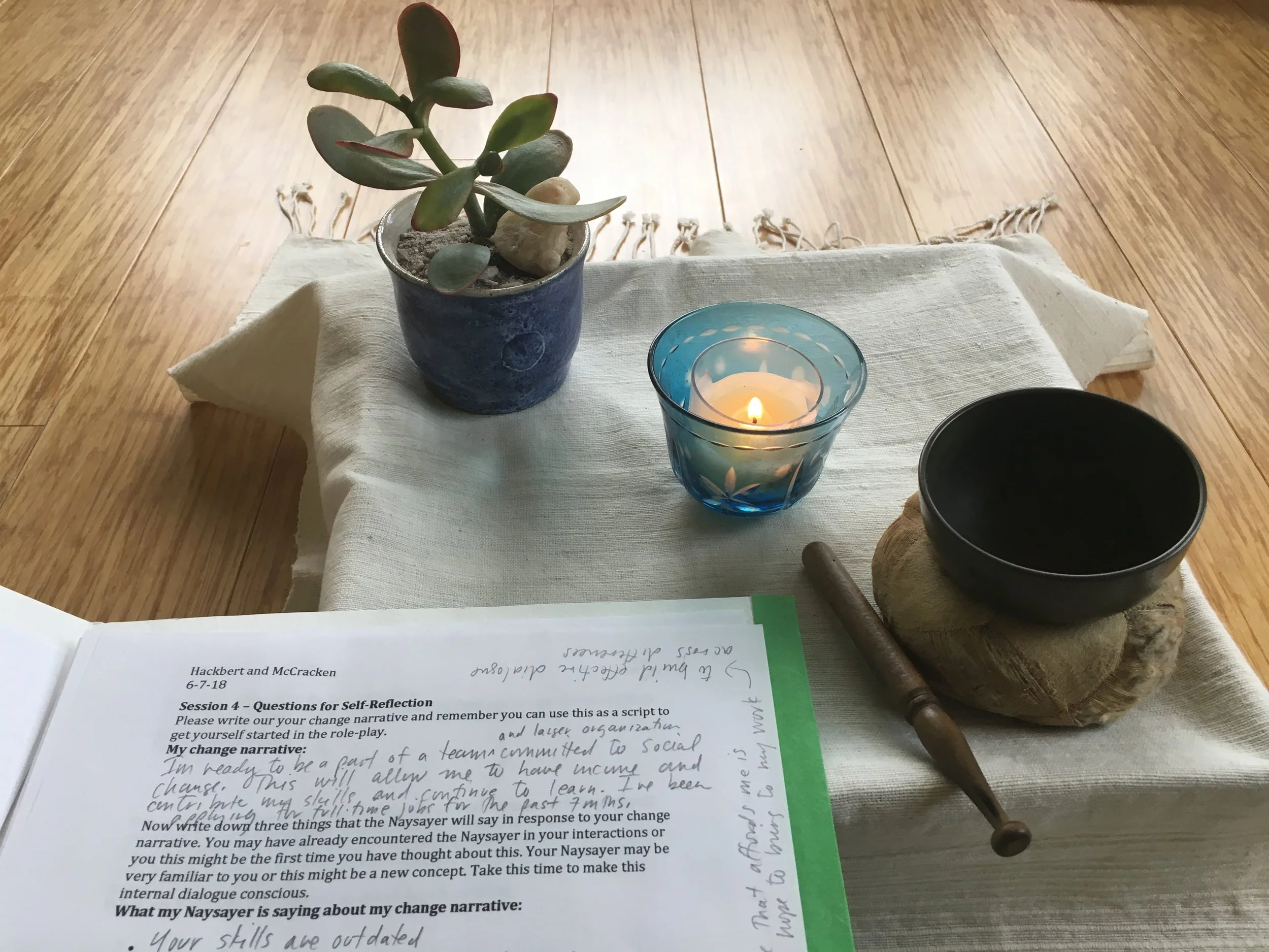 PTP close-up image.JPG