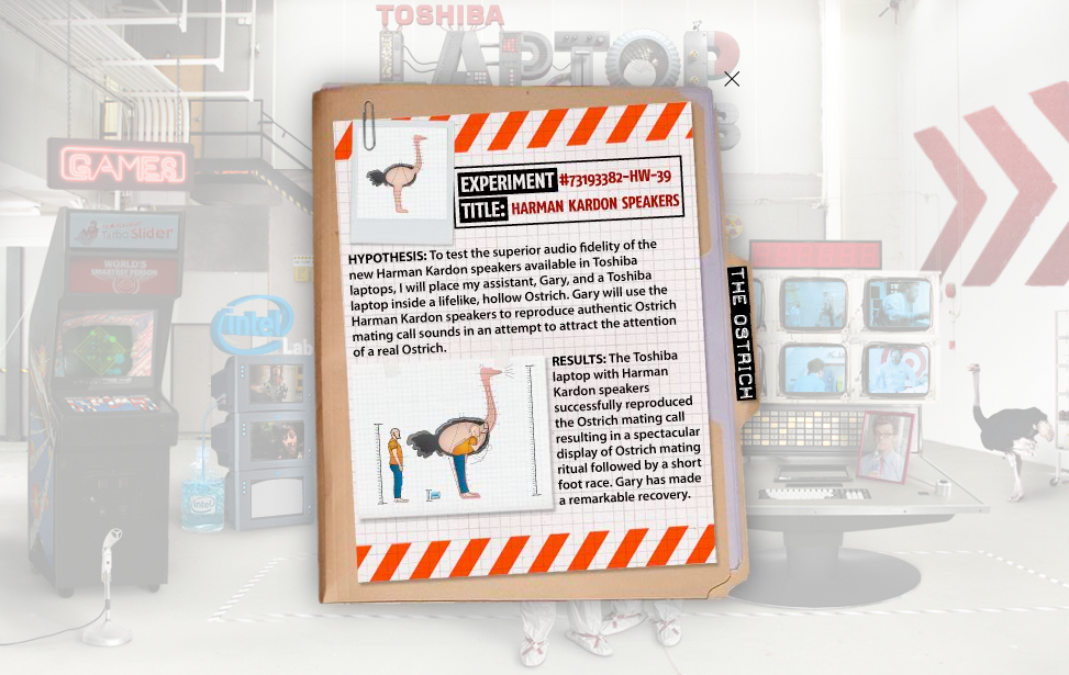  MICROSITE DETAIL 