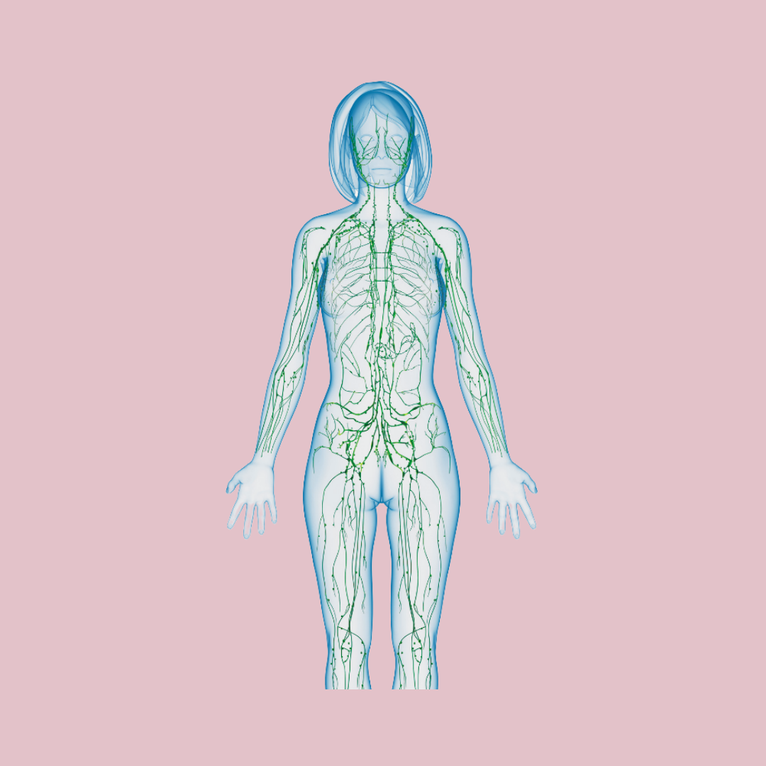 Nourished Holistic - Skin + Body Wellness