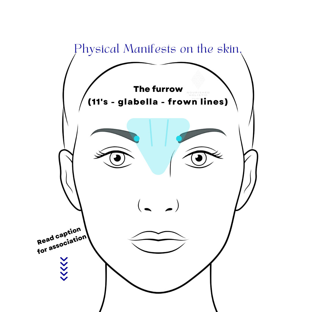 Pt 34 Relaxation &amp; Shoulders​​​​​​​​
​​​​​​​​
Physical Manifests on the skin = Unbalanced Internal Wellness​​​​​​​​
​​​​​​​​
The furrow (11's- glabella - frown lines) comes right through this area. ​​​​​​​​
​​​​​​​​
These are associated with shou