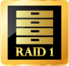 RAID INVERSE 1.png