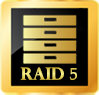RAID INVERSE 5.png