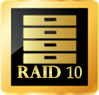 RAID INVERSE 10.png
