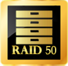 RAID INVERSE 50.png