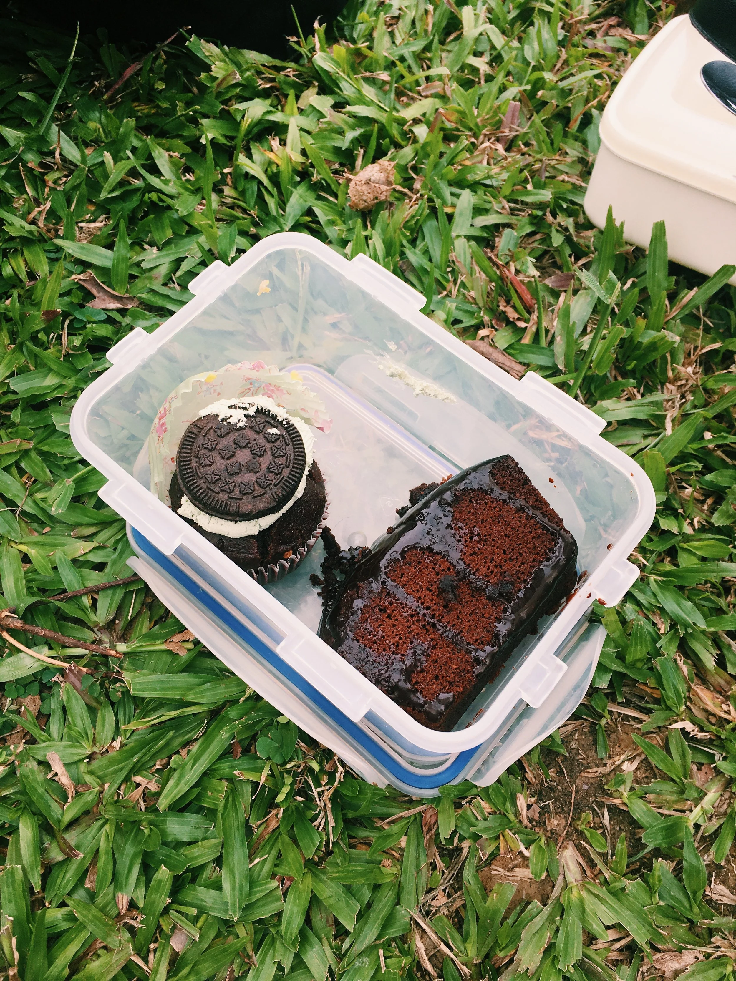 Oreo-topped cupcake and a slice of chocolate cake