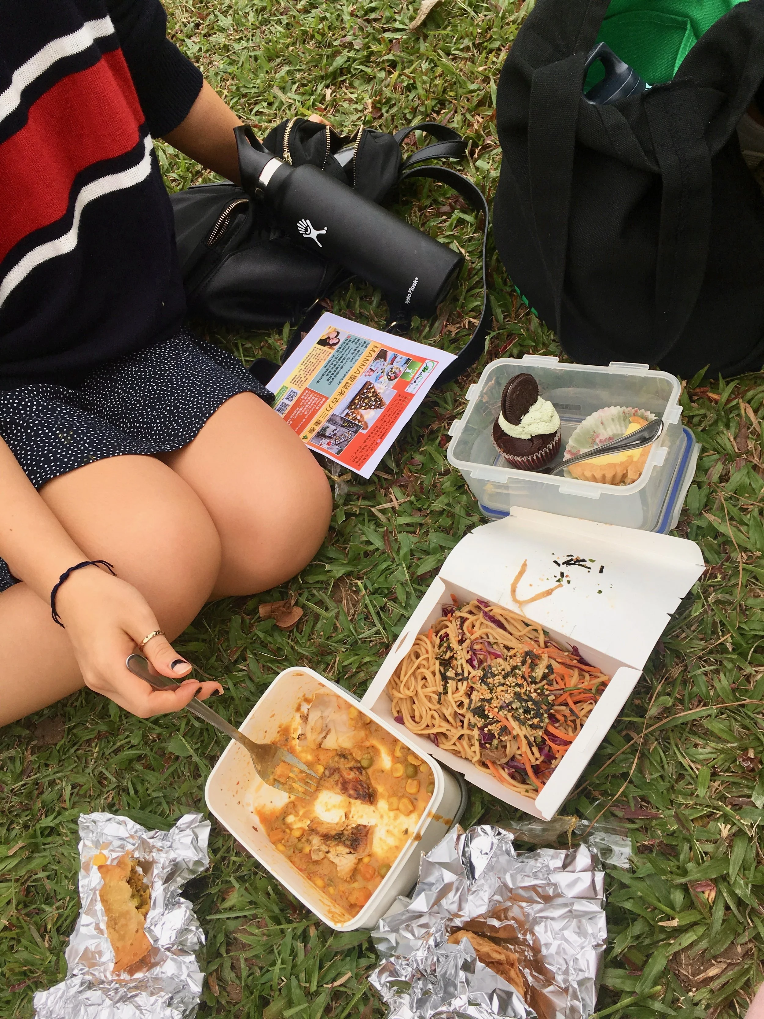 Samosas, naan and curry from Khana Khazana, and noodles from Loving Hut