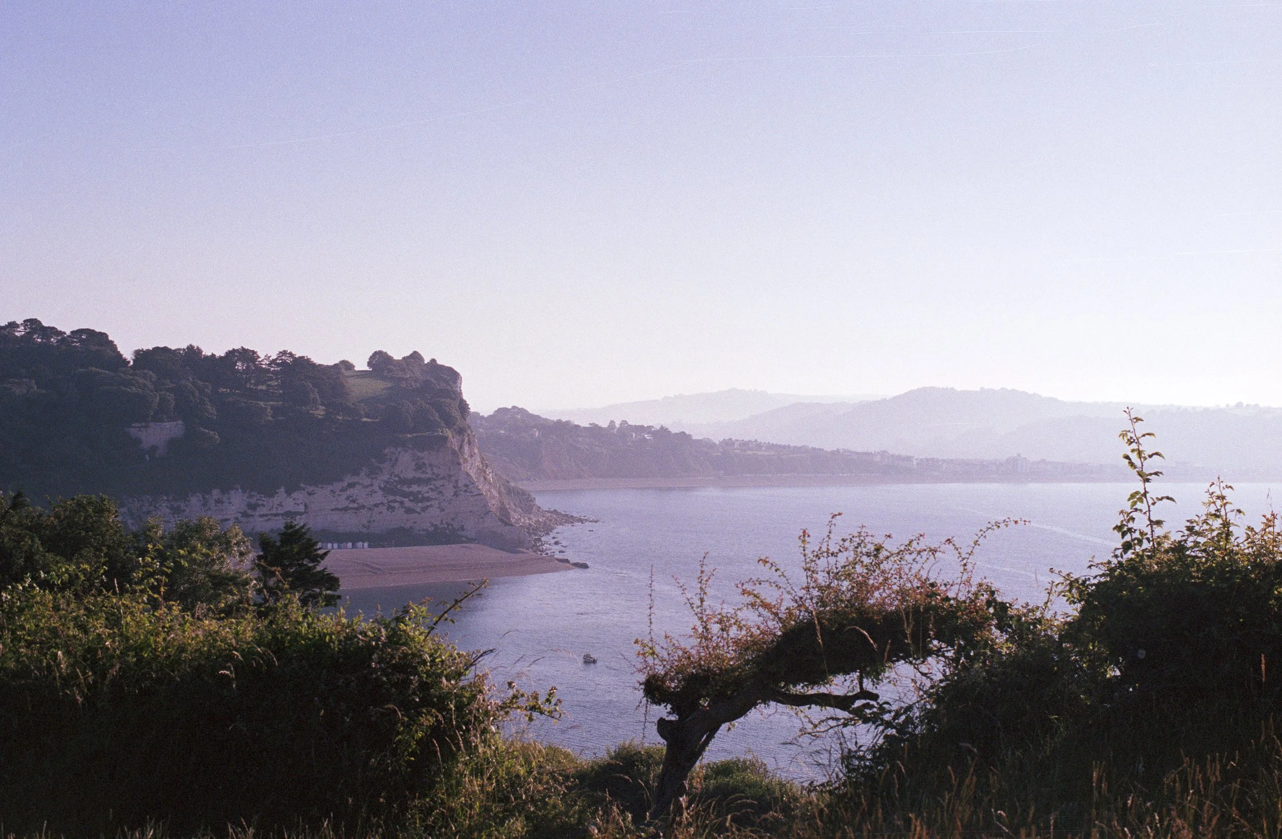 Beer Head Lookout — Finn Studio