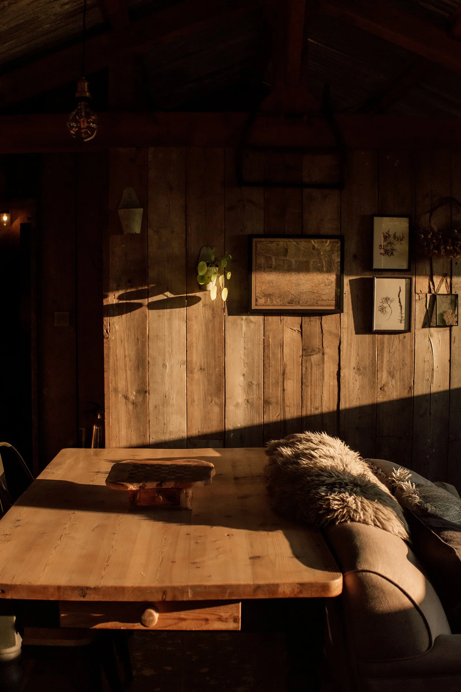 Adam and Lydia Cabins-22.jpg