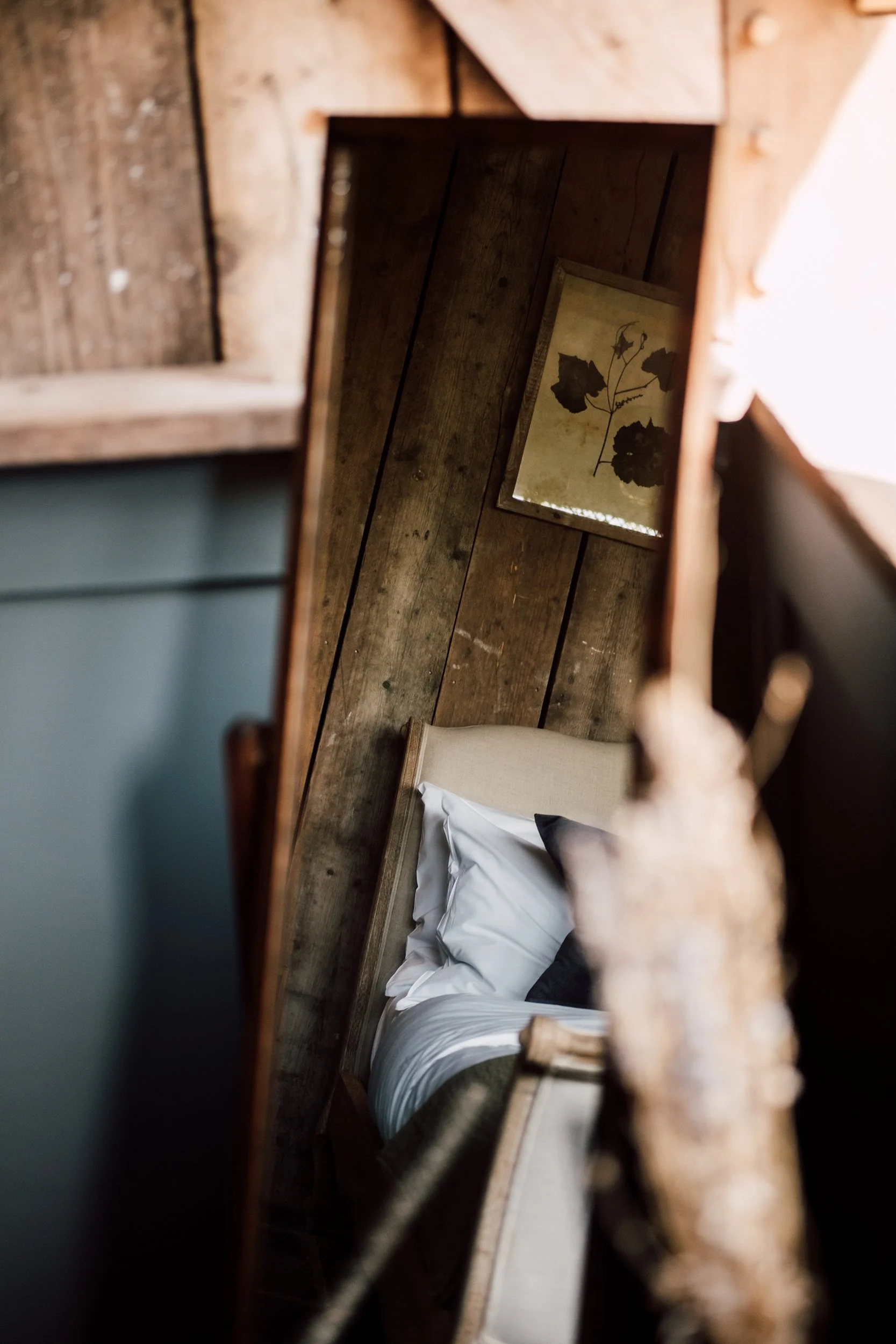 Adam and Lydia Cabins-94.jpg
