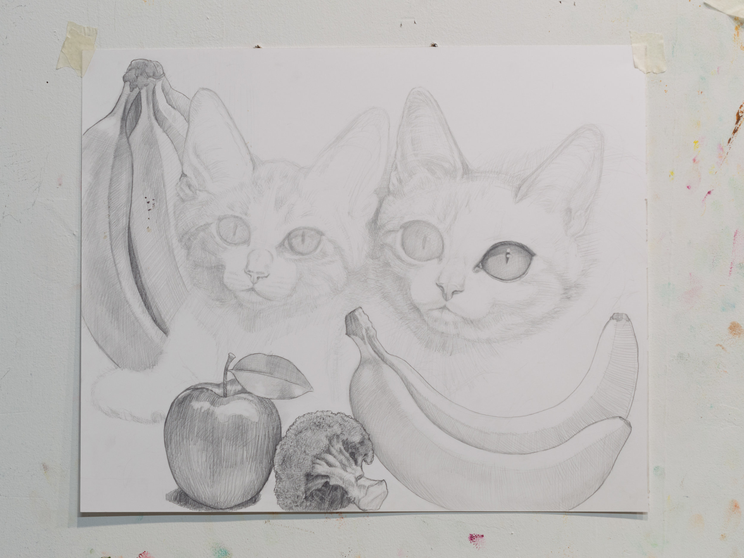 Kittens, pencil on paper 2017