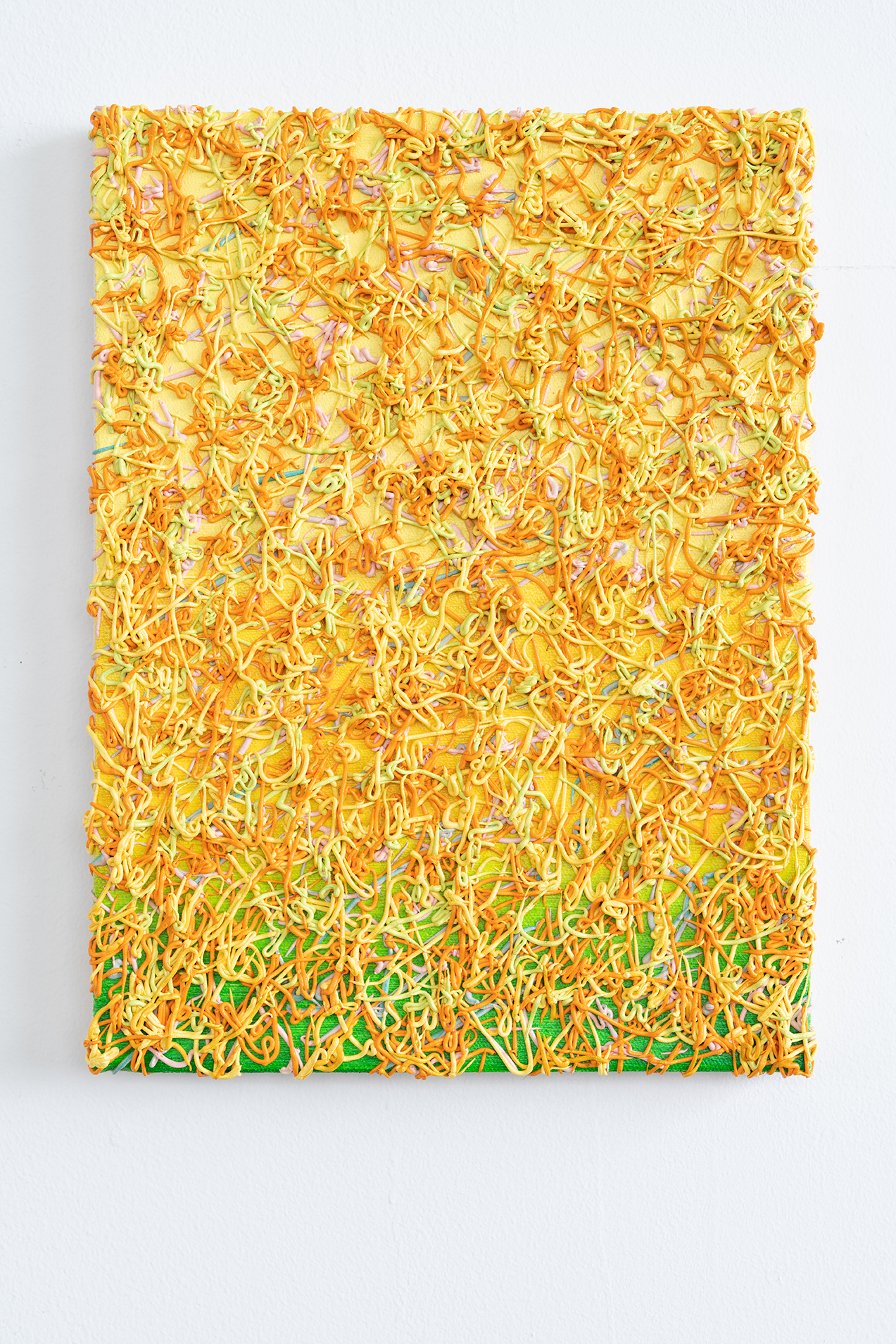   Philip Hardy   Noodle Painting (Yellow)  2018  Photo Rob Ventura 