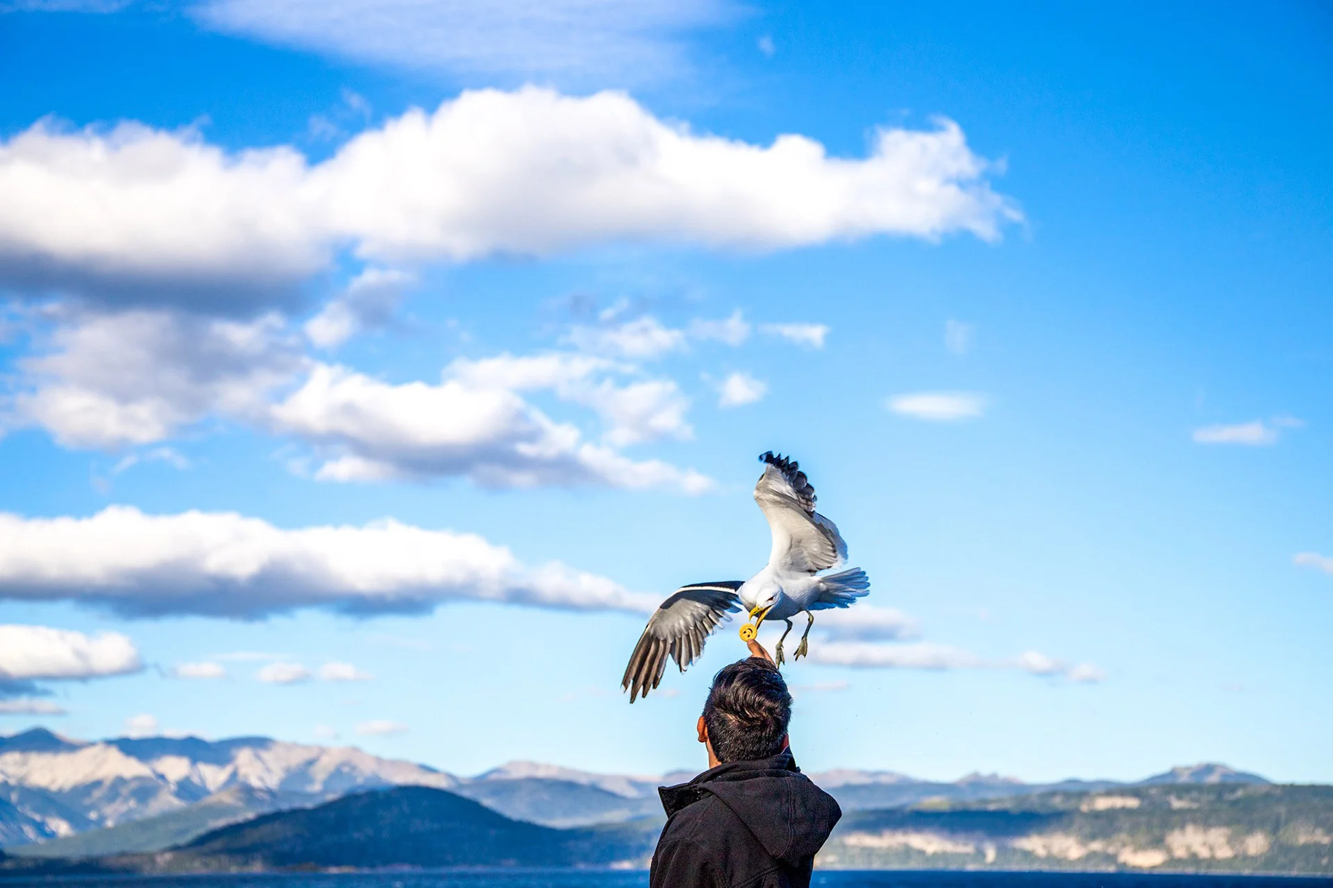 Bariloche — Patagonia