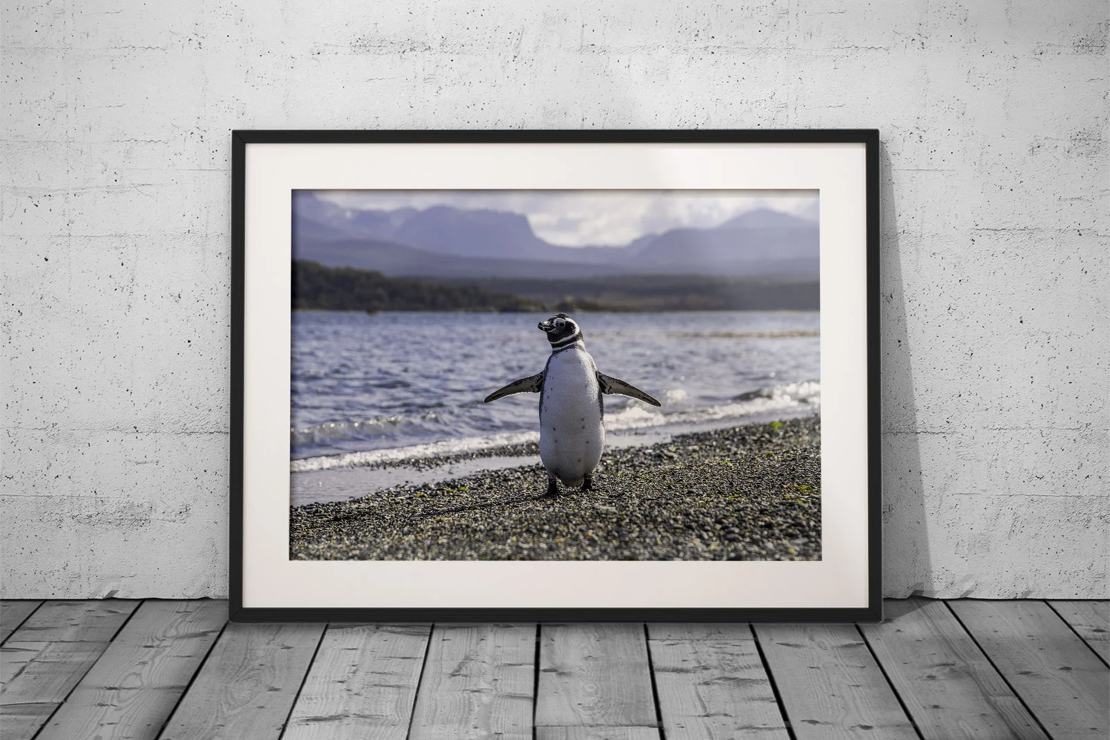 penguin_e.jpg