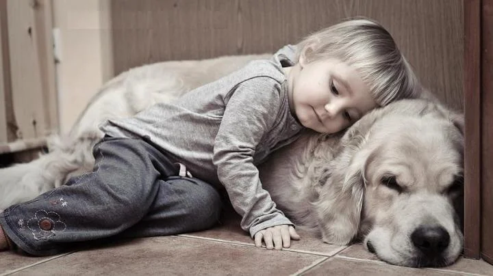 dog child sad.jpg