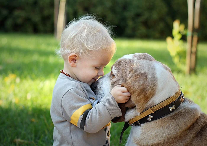 dog child sad 3.jpg