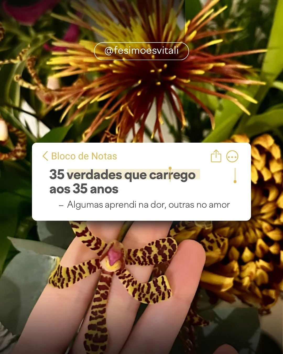 Nada como um novo ciclo pra lembrar que crescer tamb&eacute;m &eacute; se revisitar. N&atilde;o &eacute; sobre ter respostas, &eacute; sobre ter coragem pra olhar pra dentro &mdash; de novo. Alguns aprendizados vieram da dor, outros do amor e compree