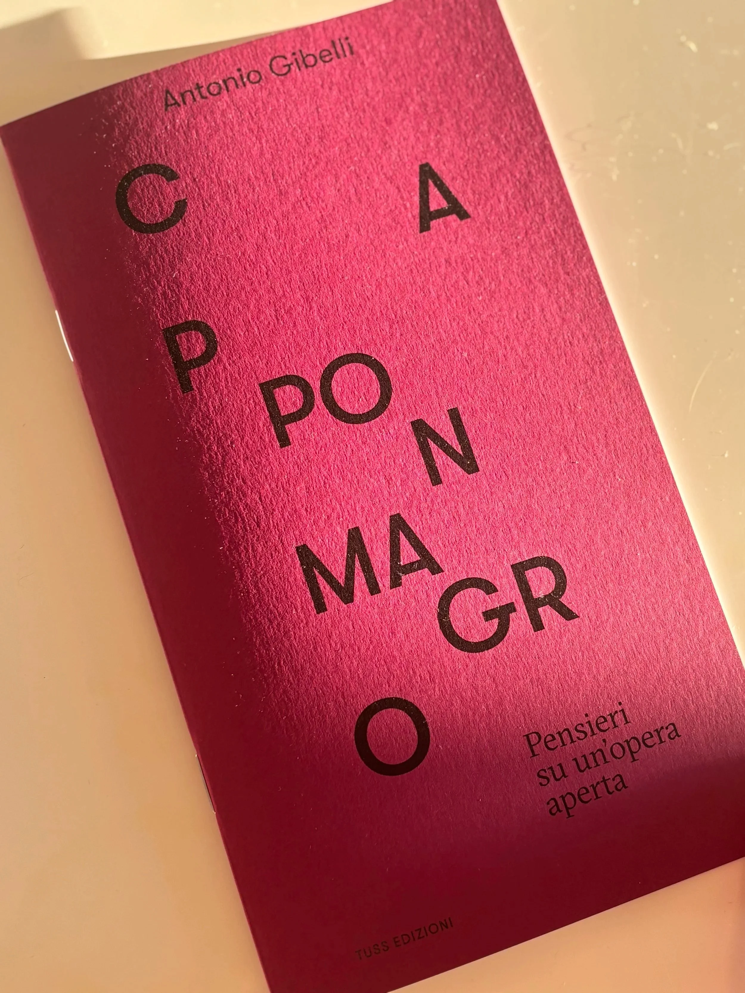Cappon magro. Pensieri su un'opera aperta - Antonio Gibelli