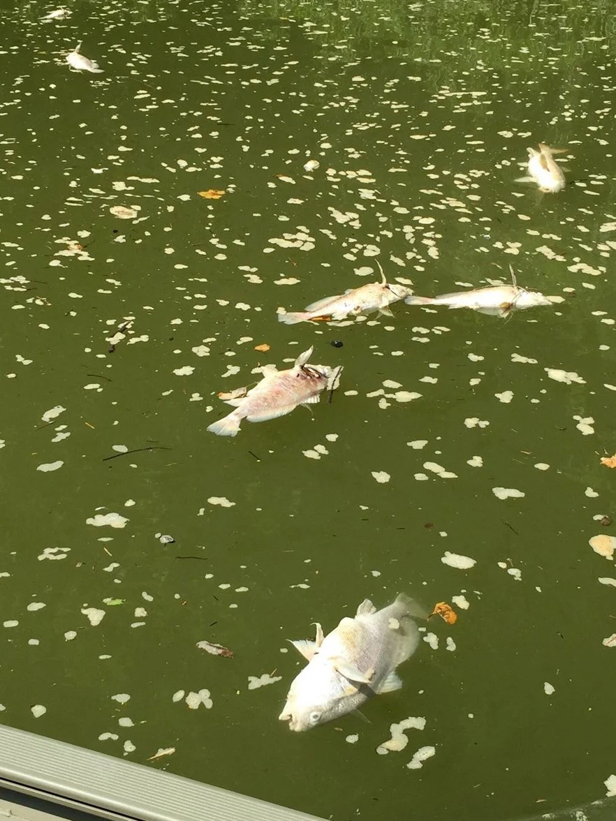 Source: Kentucky Energy and Environment Cabinet