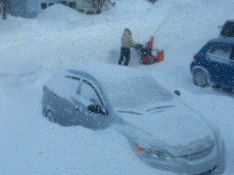 Cars covered in Newfoundland, Canada, after 40cm snow, high winds and extreme cold lead to widespread and extended power failures across Newfoundland in January 2014.&nbsp; Photo: Joanna McDonald.