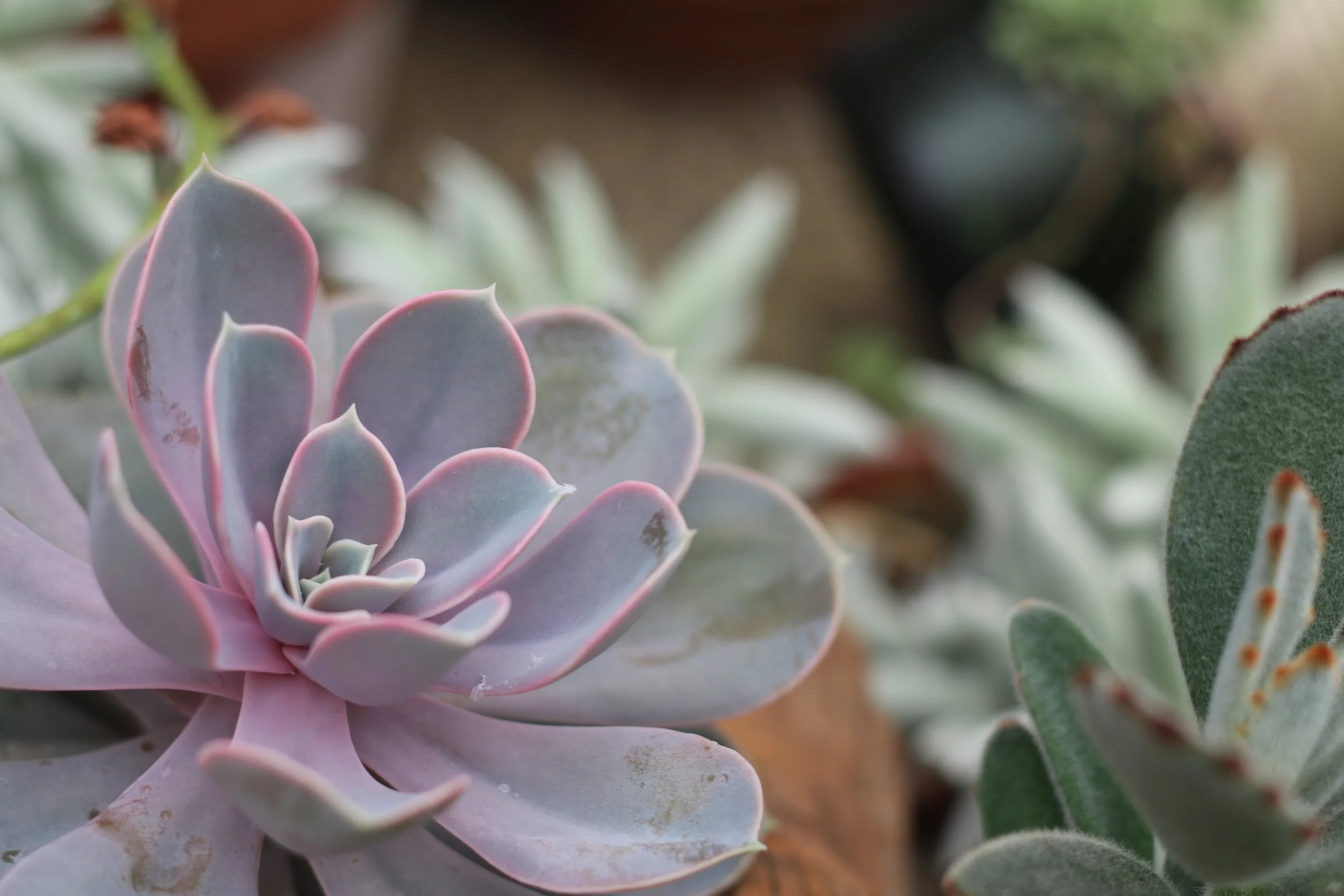 Foundations of Fundraising II