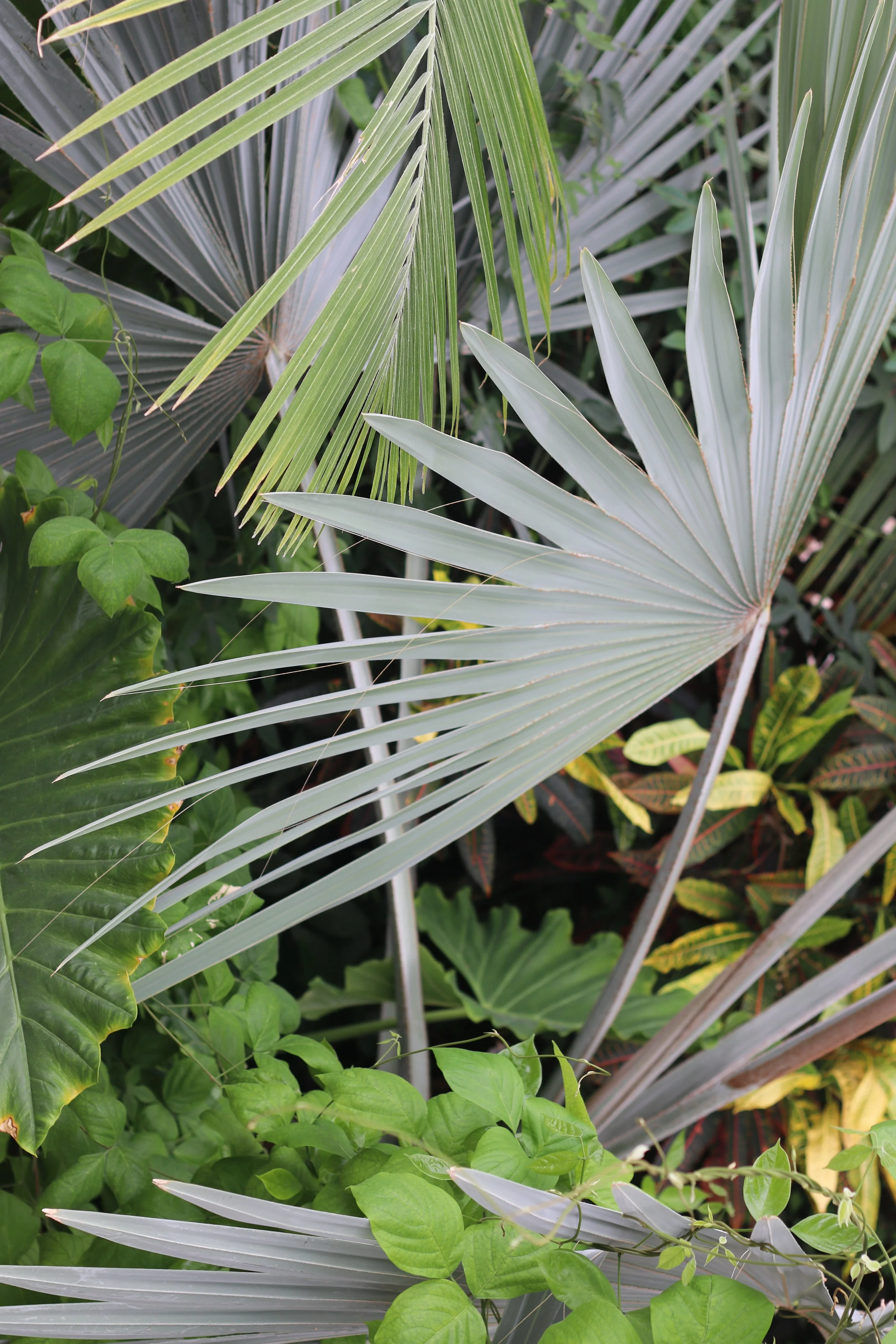 Fundraising Operations