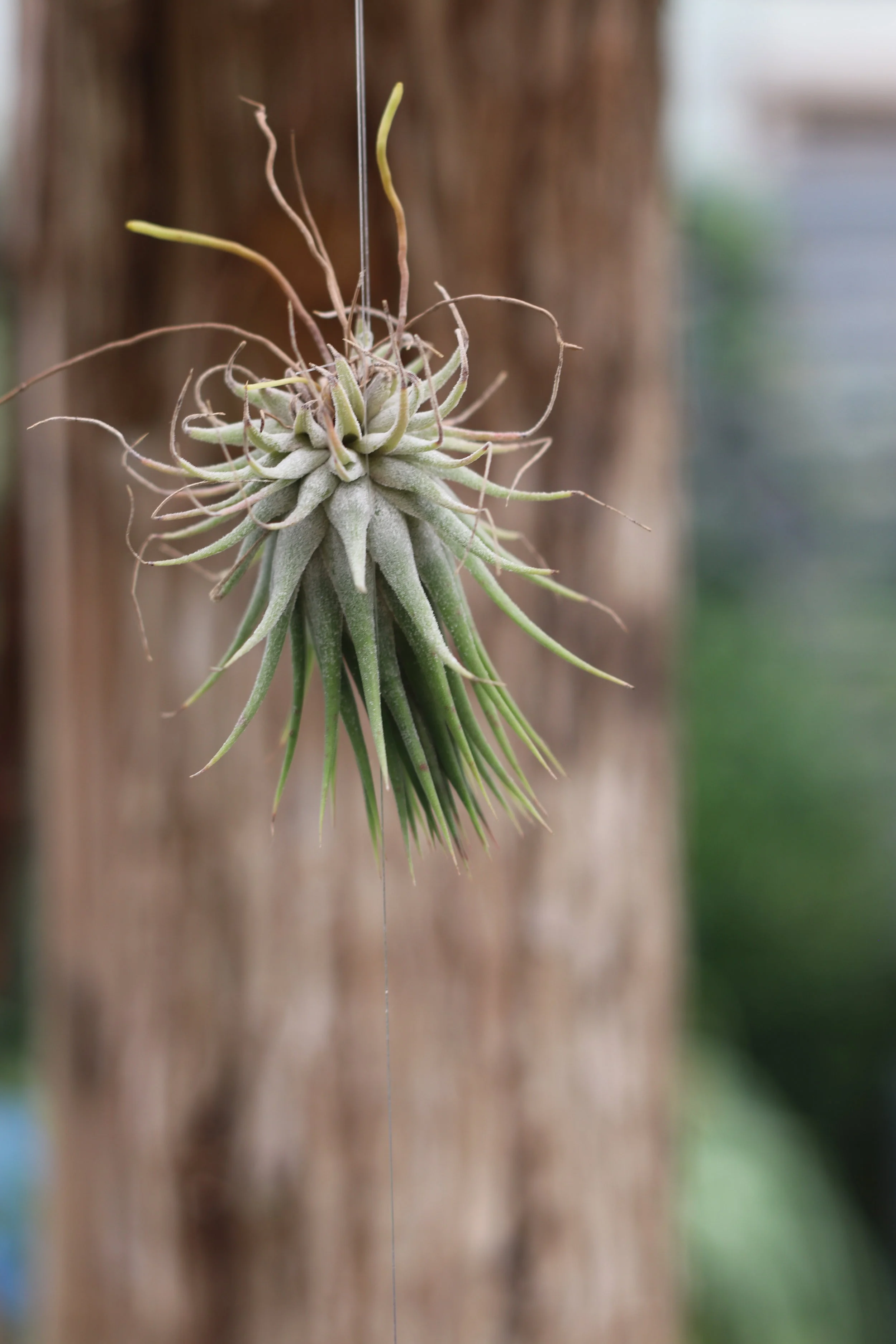 Planned &amp; Estate Gifts I