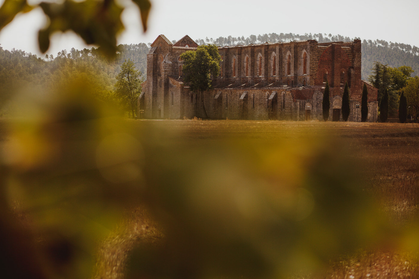 pre-wedding-photography-tuscany-3.jpg