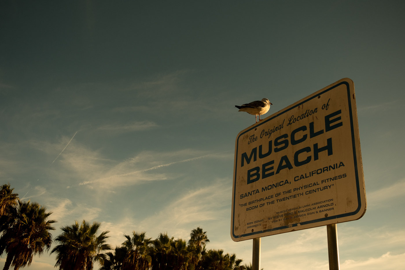 destination-wedding-photographer-shutters-on-the-beach--4.jpg