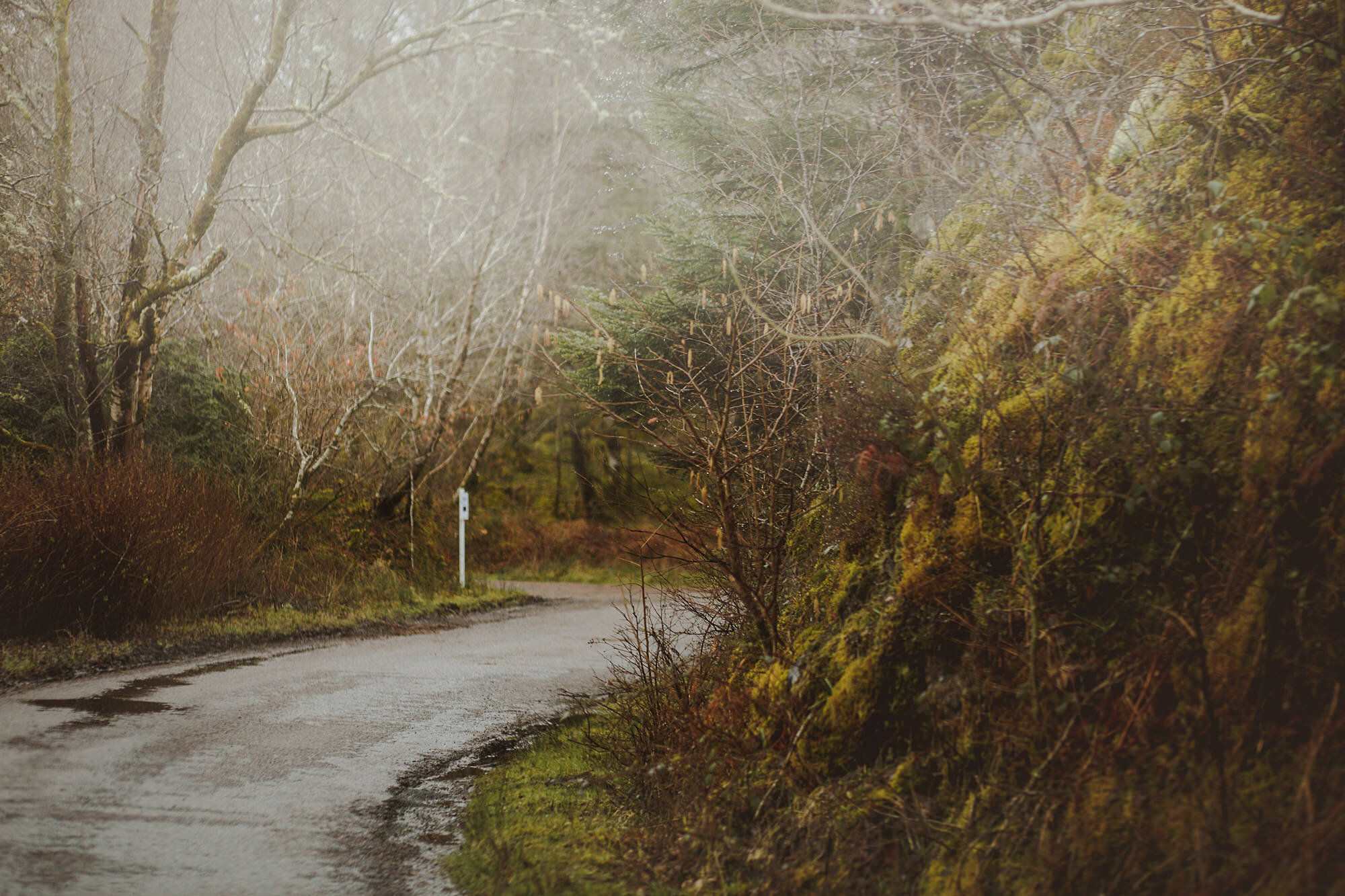  ardtornish estate weddingPhotography by Motiejus 