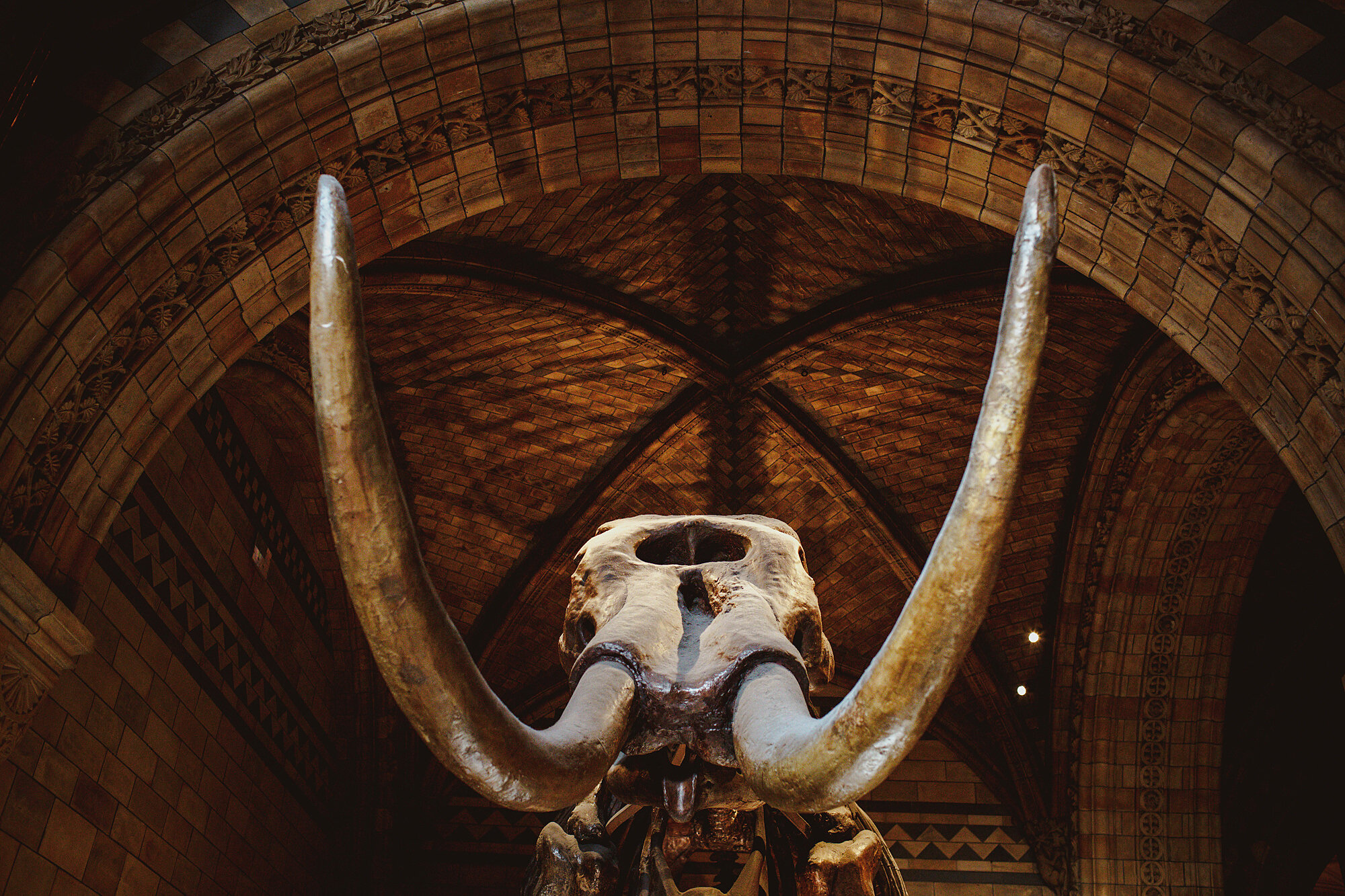  Natural History Museum Wedding Photography by Motiejus 