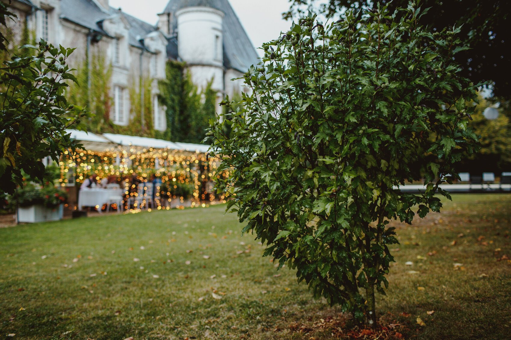  Your destination wedding is in France at Le Mas de Montet. Based in France, our professional photographer will discover the beauty of the Chateau Le de Montet and its gardens to photograph your unique wedding day.Destination Wedding and Intimate Pho