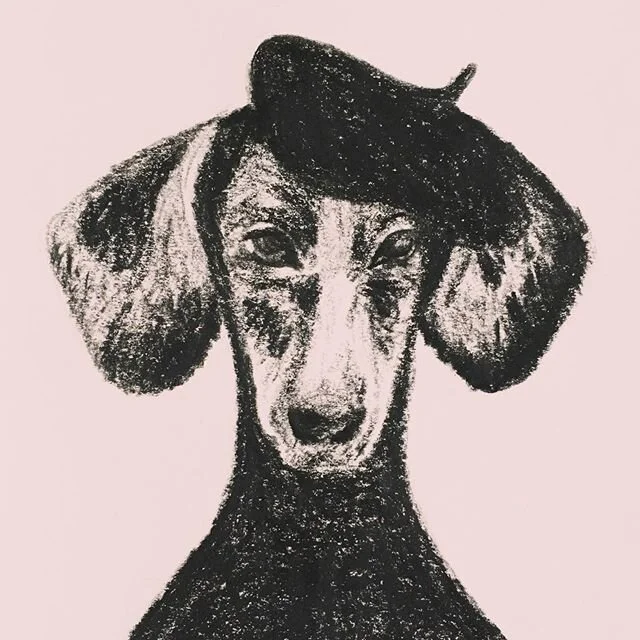 Finally got myself a dog. She&rsquo;s fabulous 🐶
:
:
:
#illustration #adrawingaday #doglover #dachshund #sassyclassy