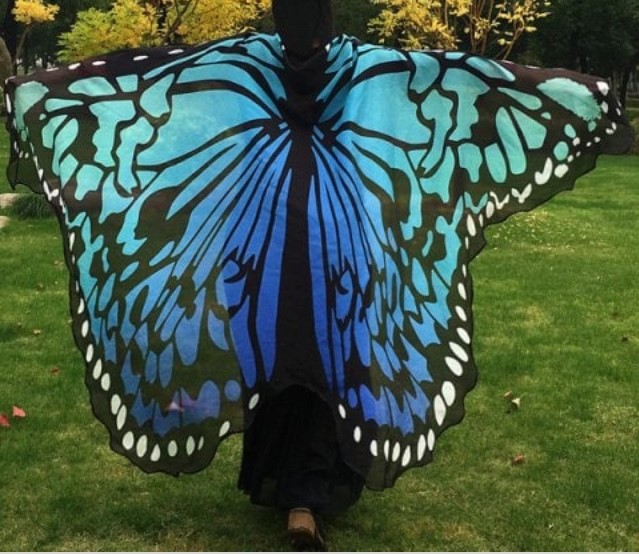Butterfly-spread-your-wings.jpg