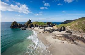 lizard point (1).jpg