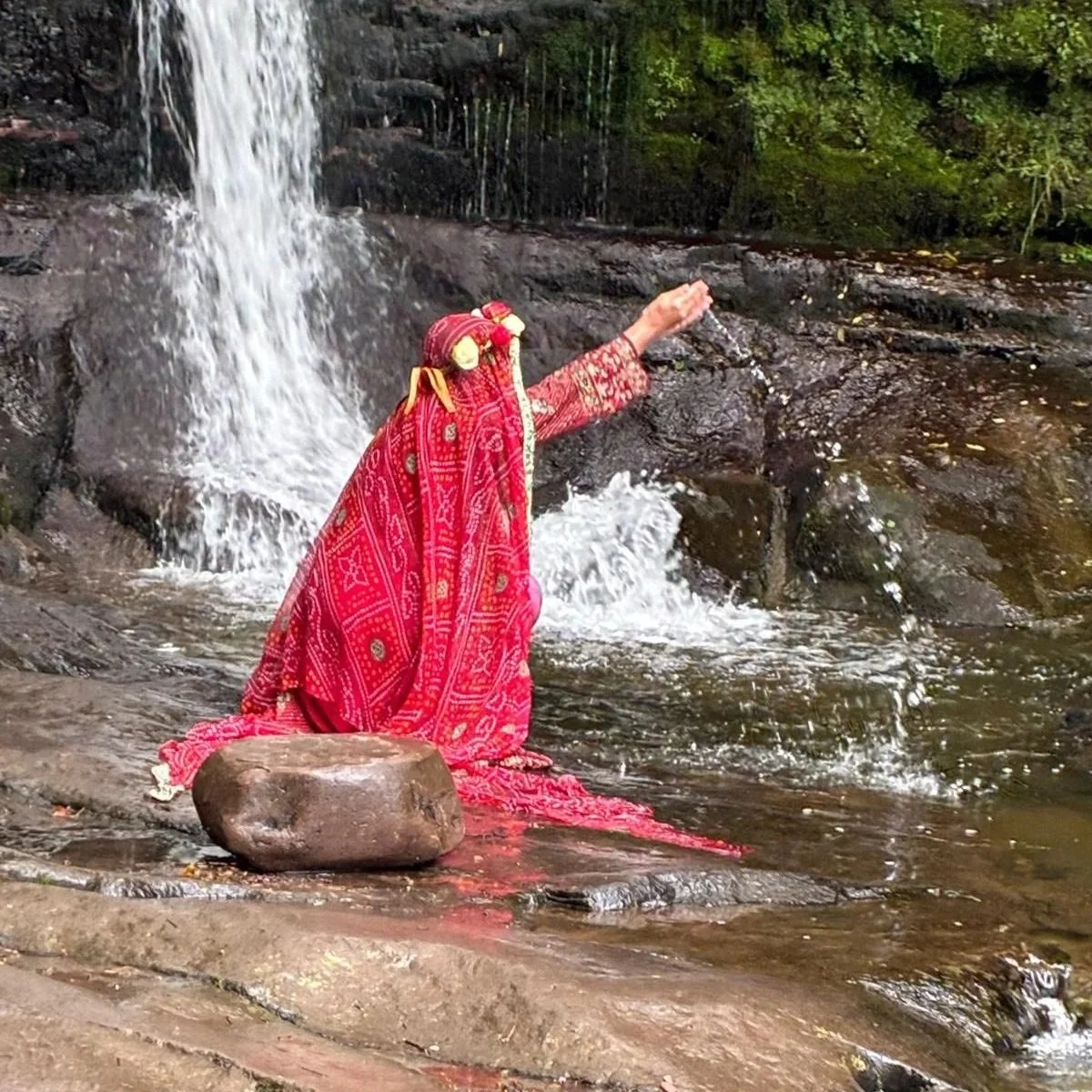 ‘The Laurel Becomes Green Again’: Magdalene and Cathar Pilgrimage 2026