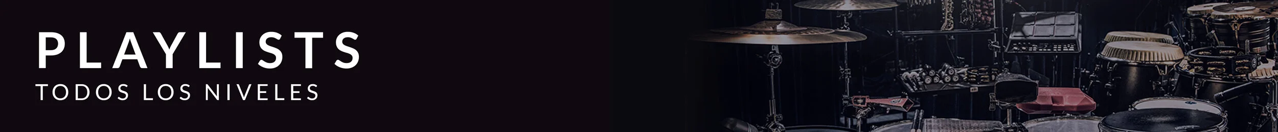 Playlists Slim ES.jpg