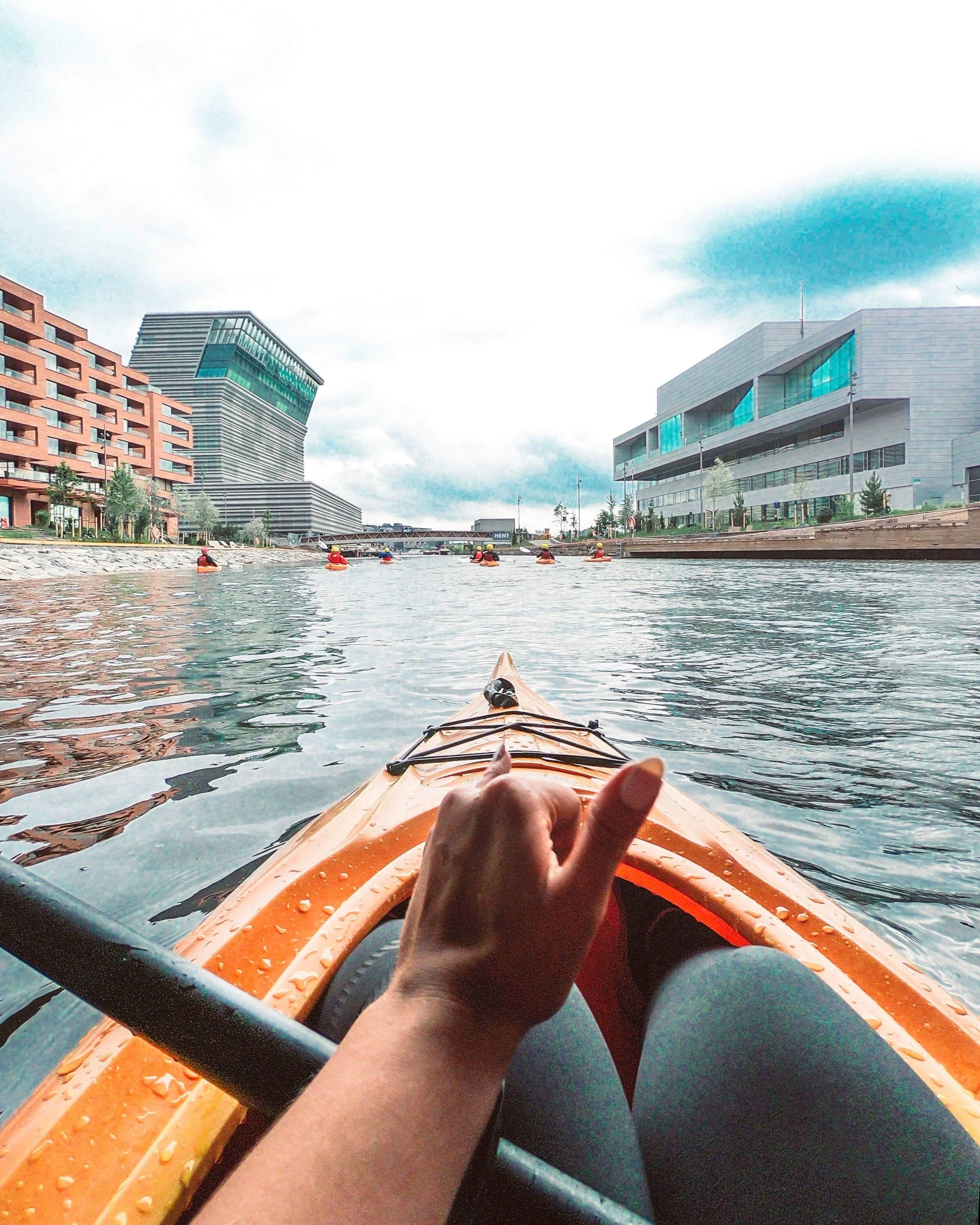 Dette skal vi gjøre i det nye året!