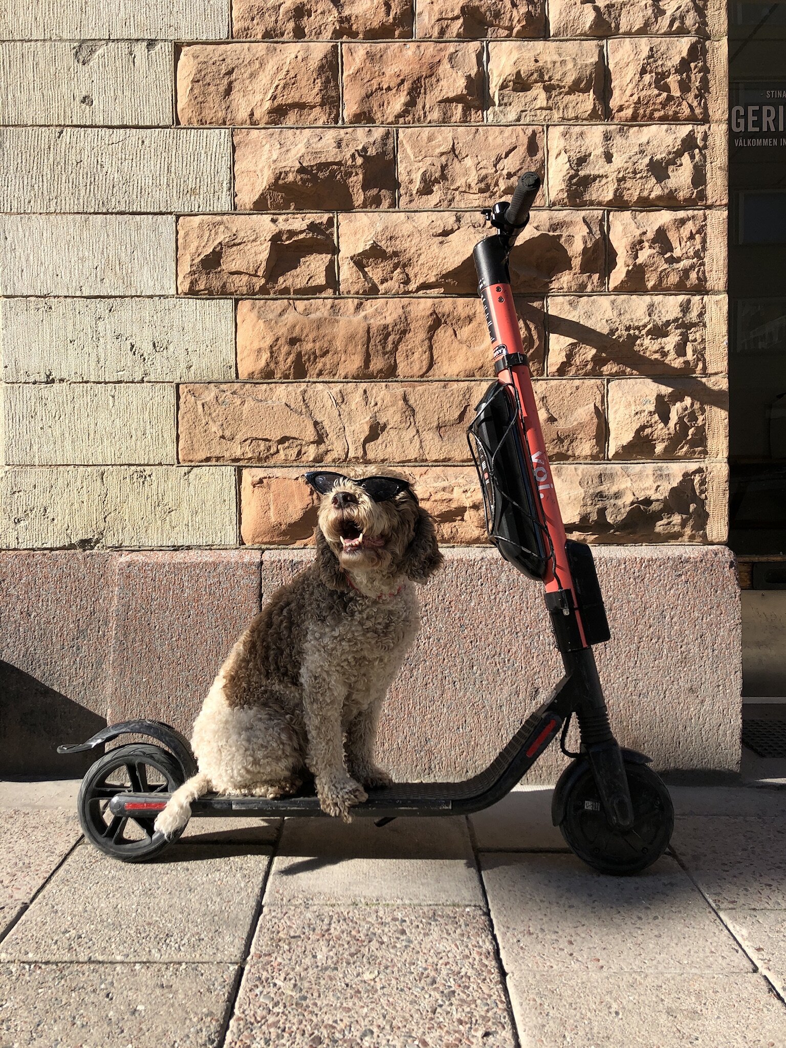 Miniguide for elsparkesykkel