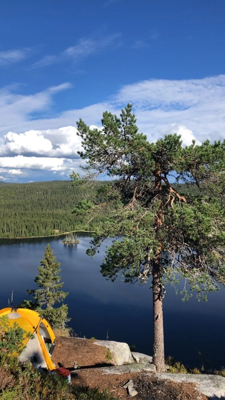 Toppturer i og rundt Oslo