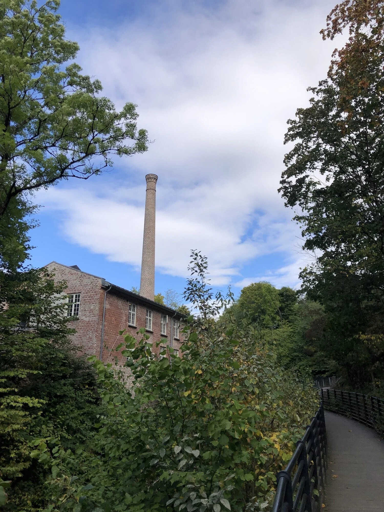 Svartdalen: Urskog midt i Oslo