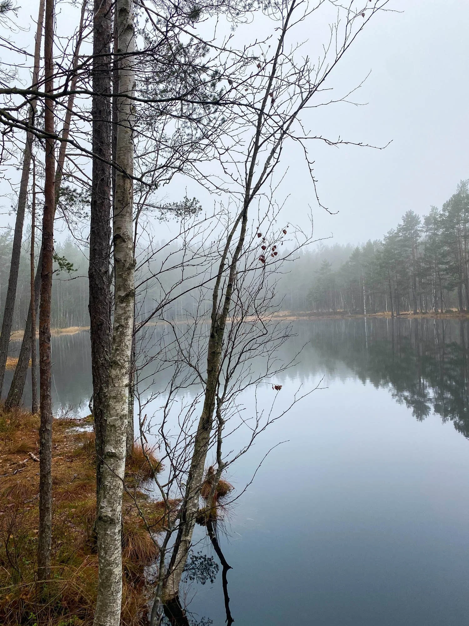 Enkel luftetur til Lille Gryta