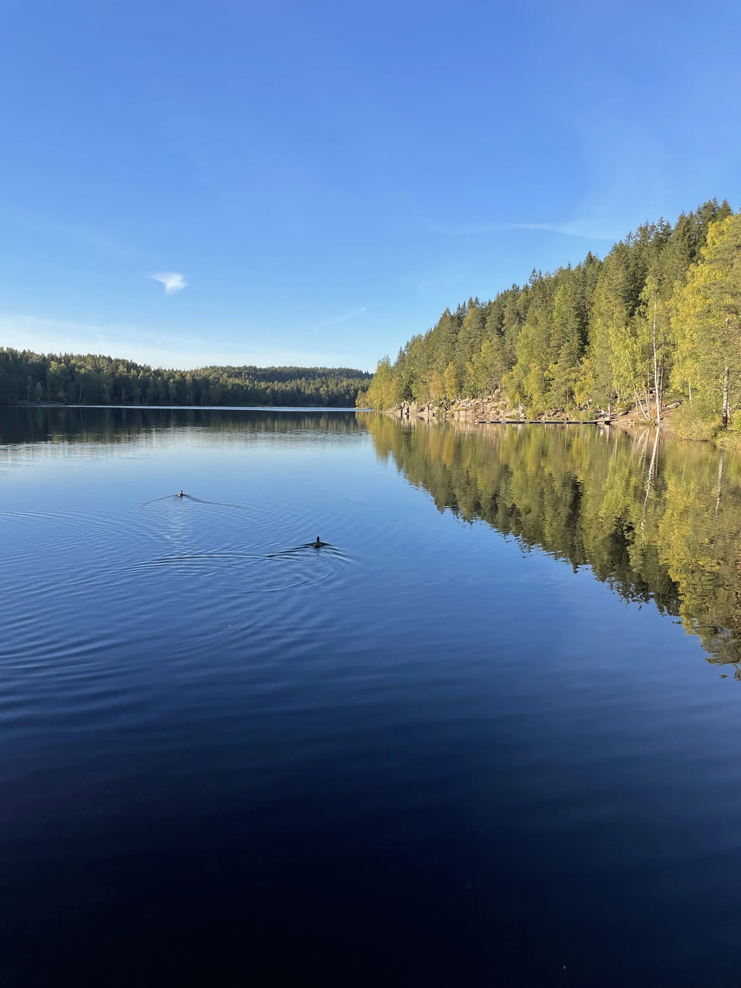 Tre enkle høstturer i Oslomarka
