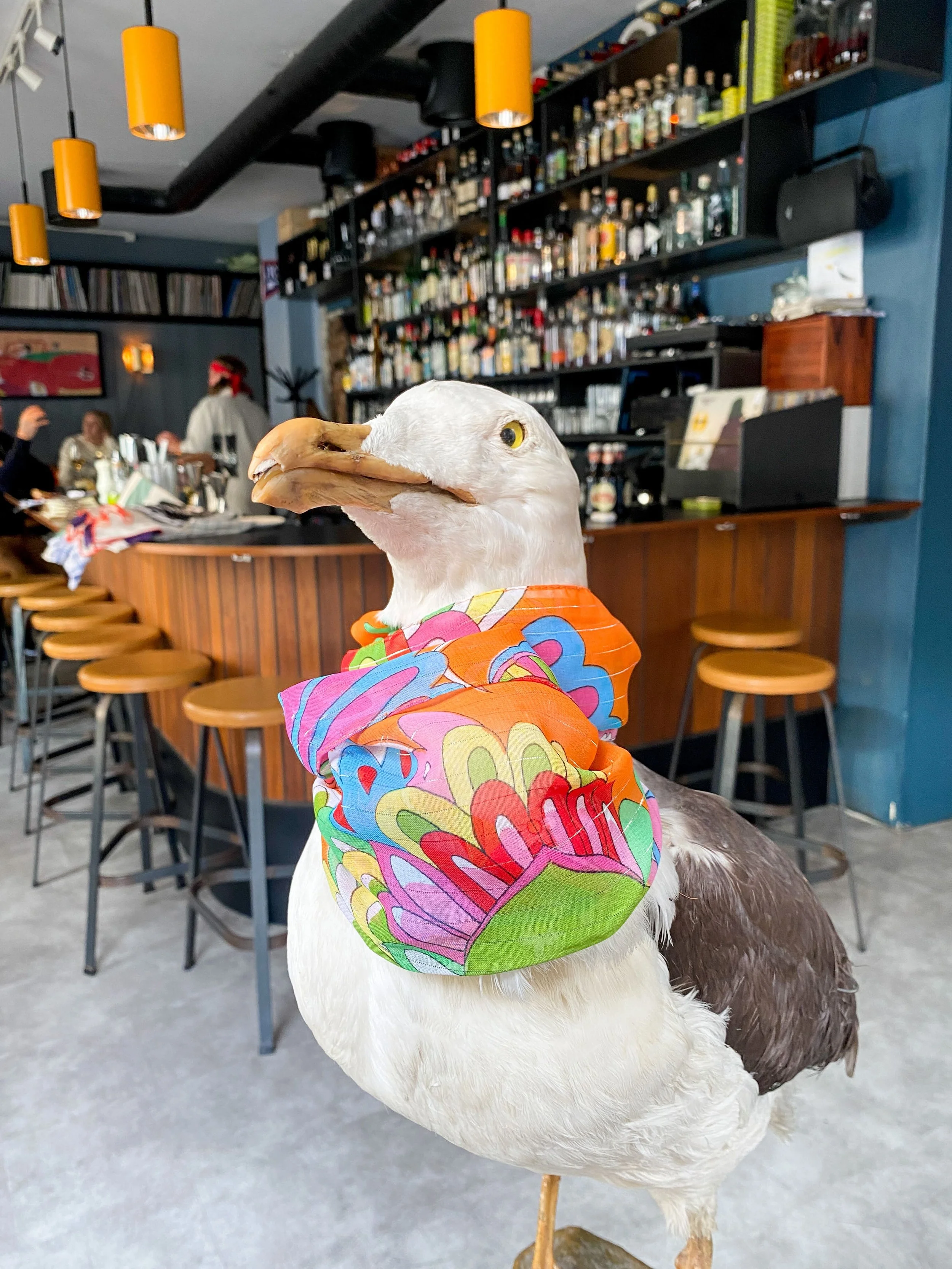 Bar Albatross: Nabolagsbaren på Torshov