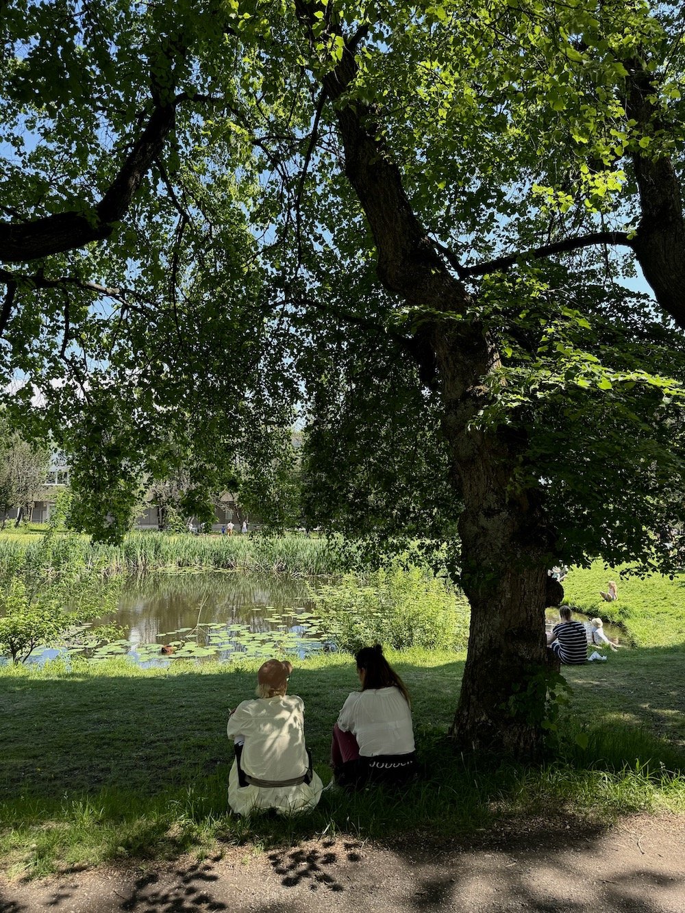 Fire idylliske gårder du kan besøke i Oslo