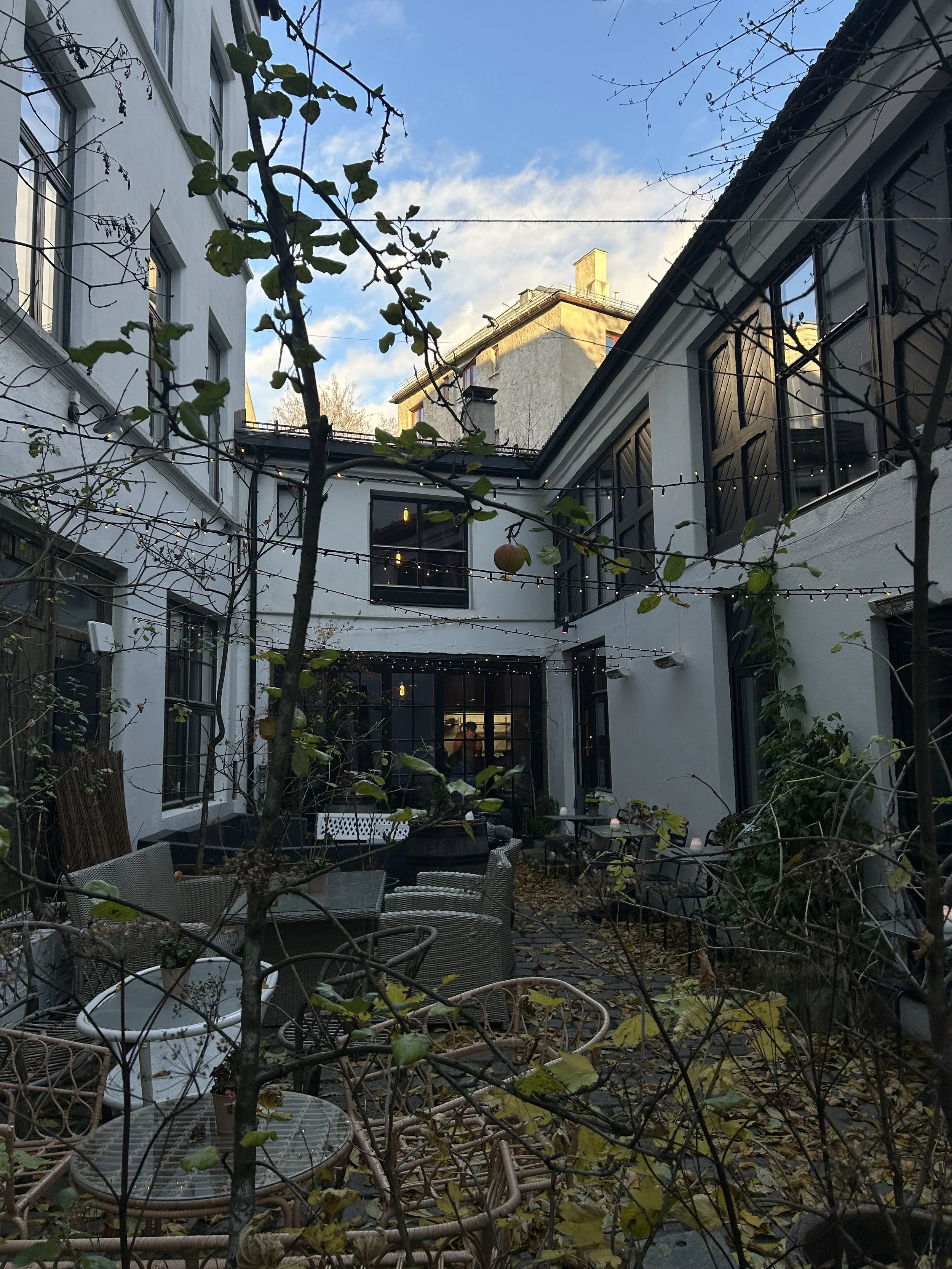 Kolonihagen Frogner: En liten grønn perle i Oslo