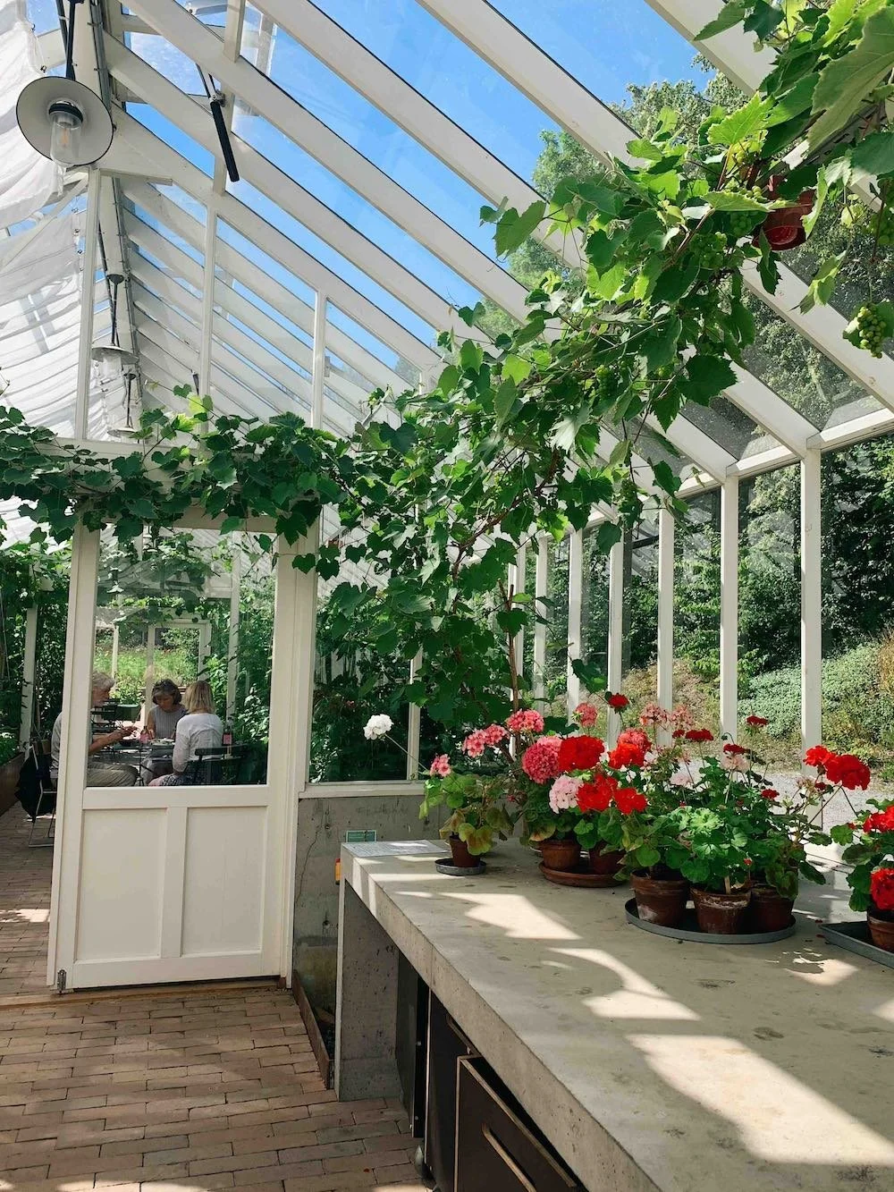 Sommeridyll: Seks steder du MÅ besøke i Oslo om sommeren