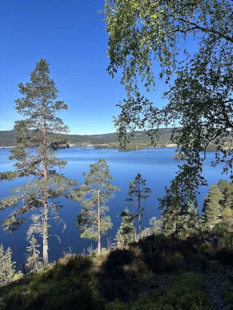 Våre favoritt løperuter i Oslo