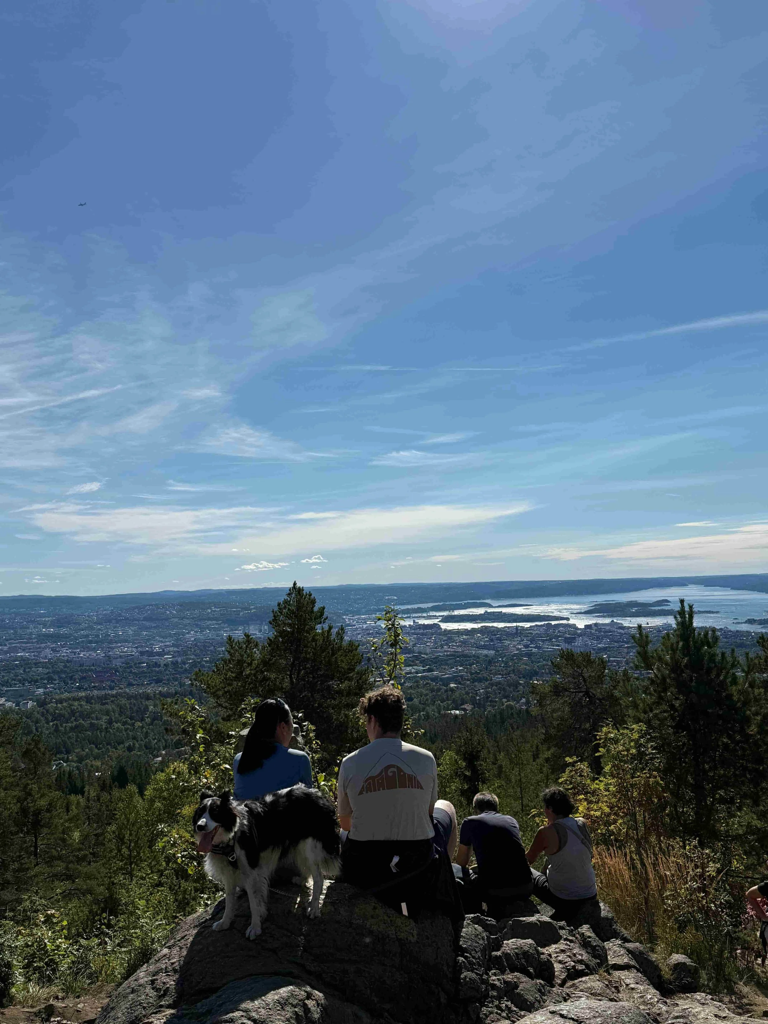 Vettakollen: Den perfekte ettermiddagstur