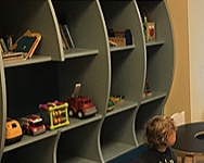 The Toy Shelves