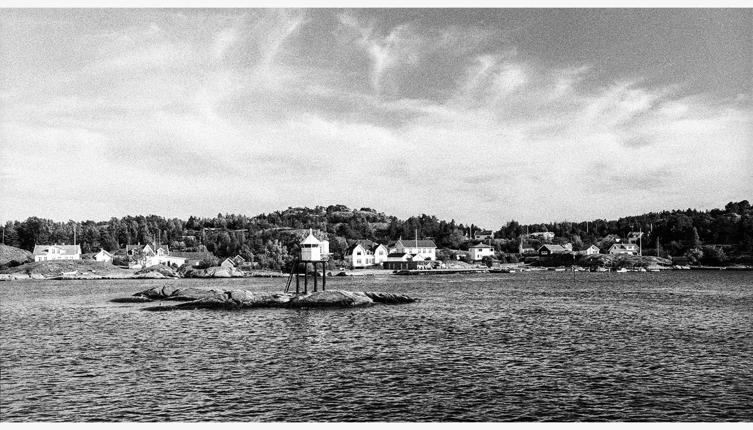 hvalerbilder-2853933_2049kjell-vassdal-661535356587_7148696348039053312_o.jpg